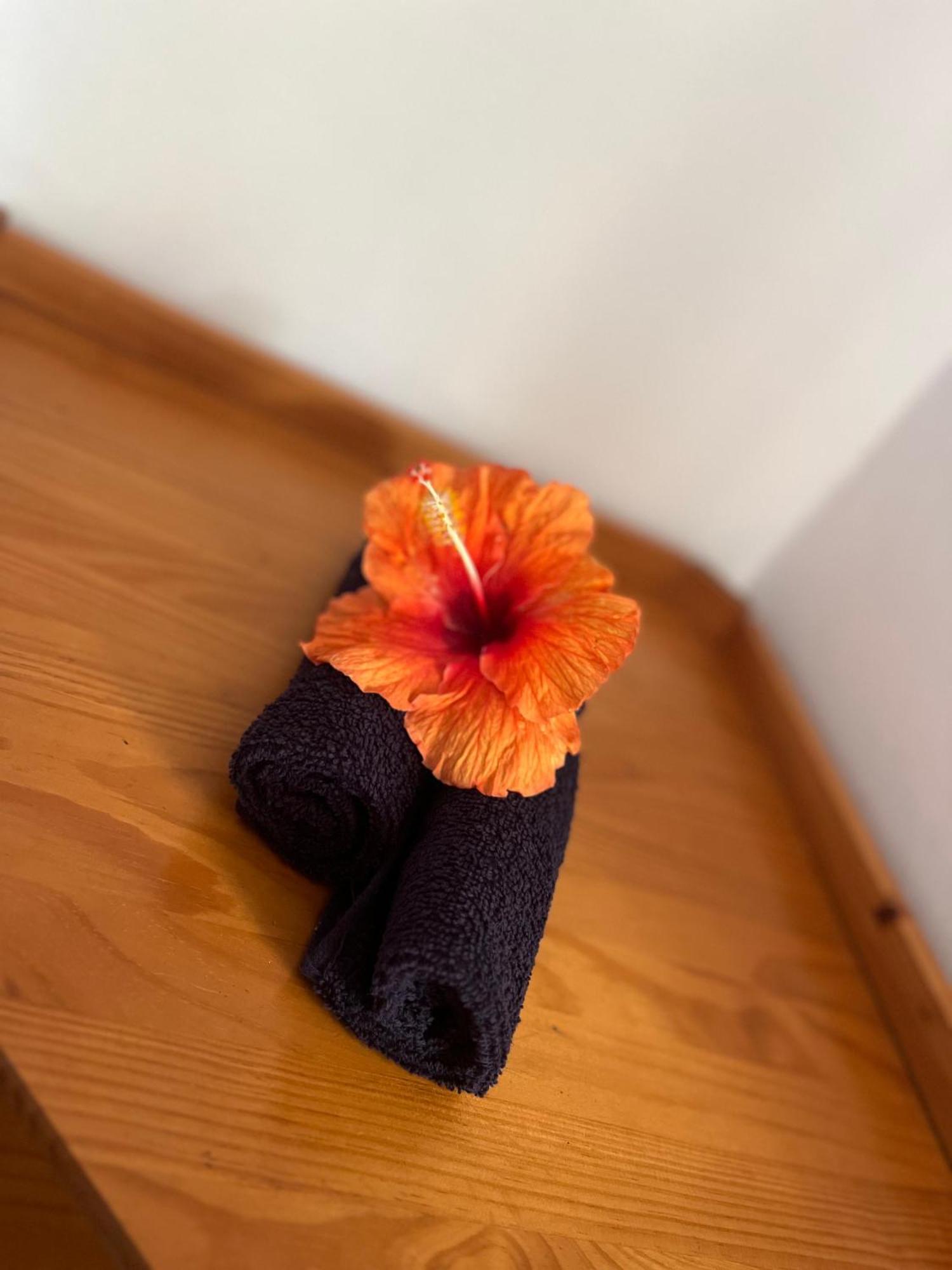 Tiki Lodge Hiva Oa Atuona 외부 사진